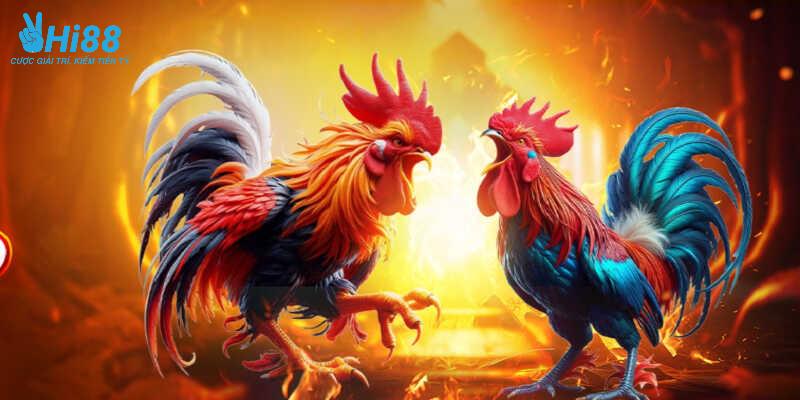 Bạn nên xem xét lịch sử thắng thua, sức bền chiến binh